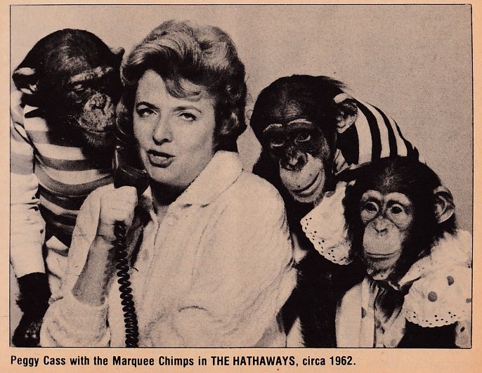 Peggy Cass with the Marquee Chimps circa 1962 Online Photo