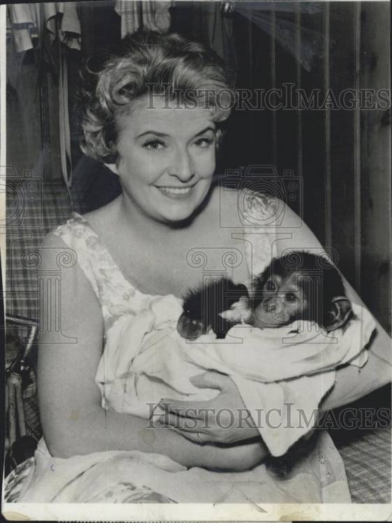 Peggy Cass & a Chimp Online Photo Galleries