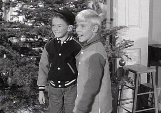 Billy Booth & Jay North - Sitcoms Online Photo Galleries